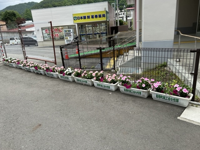 花いっぱい運動写真1